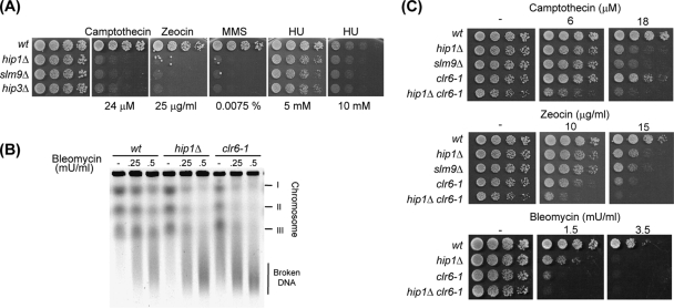 FIG. 7.