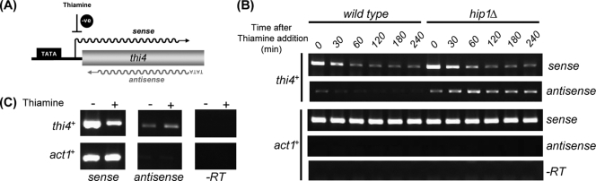 FIG. 6.