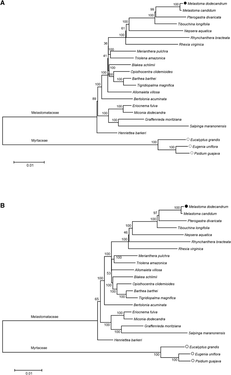 Fig. 6