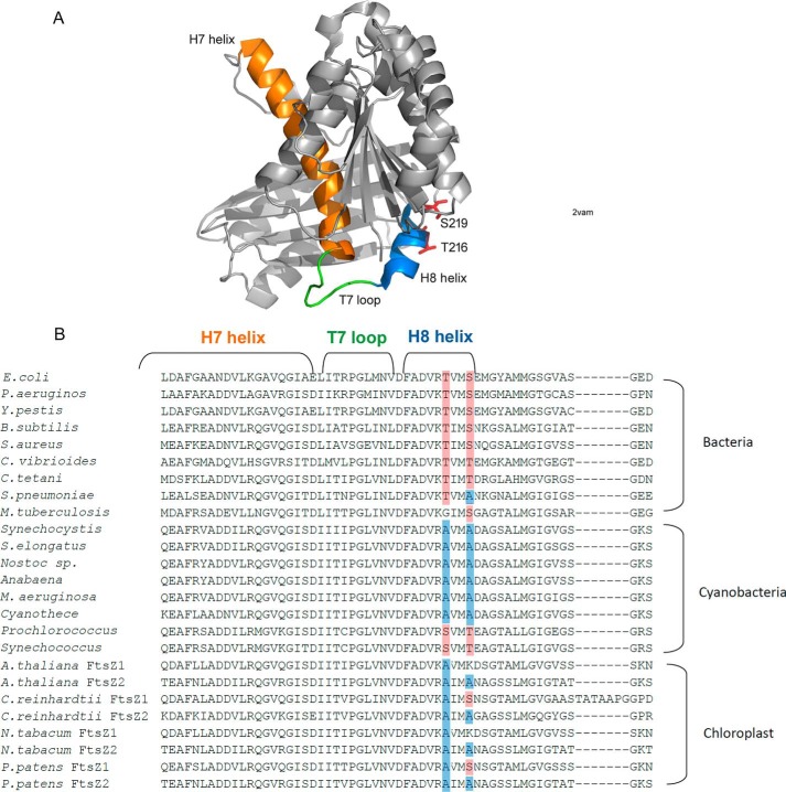 Figure 6.