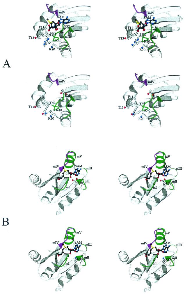 FIG. 4.