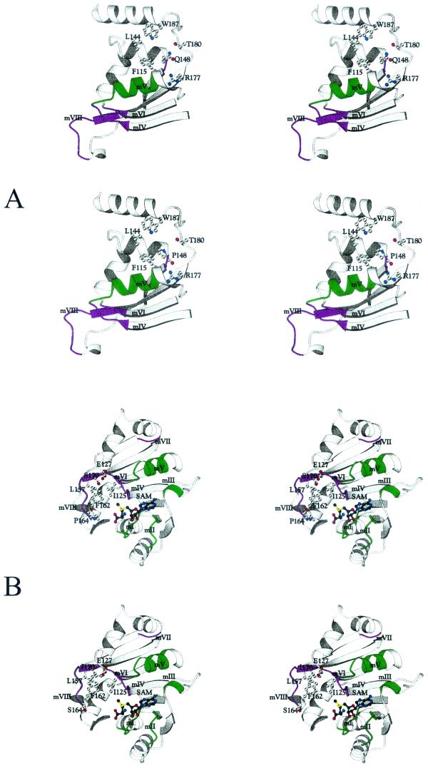 FIG. 5.