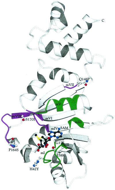 FIG. 2.