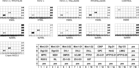 FIG. 4.