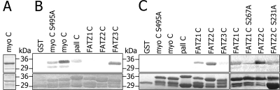 FIG. 6.