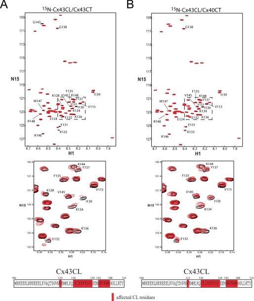 FIGURE 11.