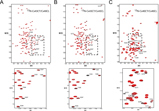 FIGURE 10.