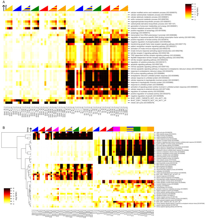 Figure 3—figure supplement 1.