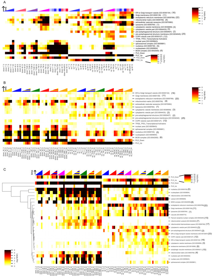 Figure 3—figure supplement 2.