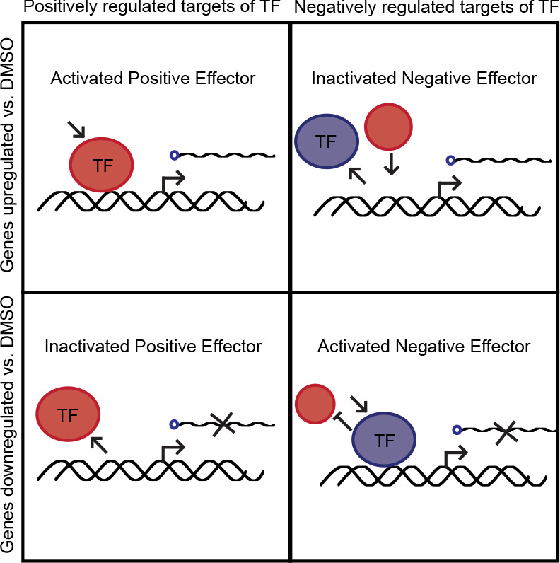 Figure 7—figure supplement 1.