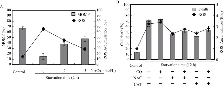 Figure5