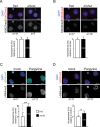 Figure 3—figure supplement 1.