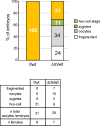 Figure 1—figure supplement 2.