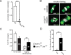 Figure 1—figure supplement 1.