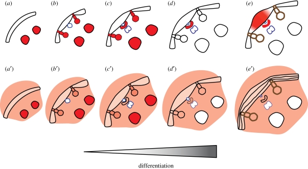 Figure 5.