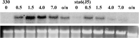 Figure 11.