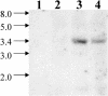 Figure 12.