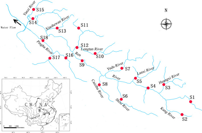 FIGURE 1