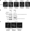 FIG. 6.