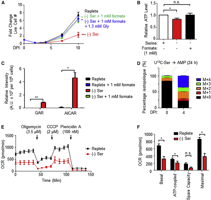 Figure 6