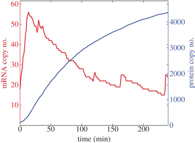 Figure 6.