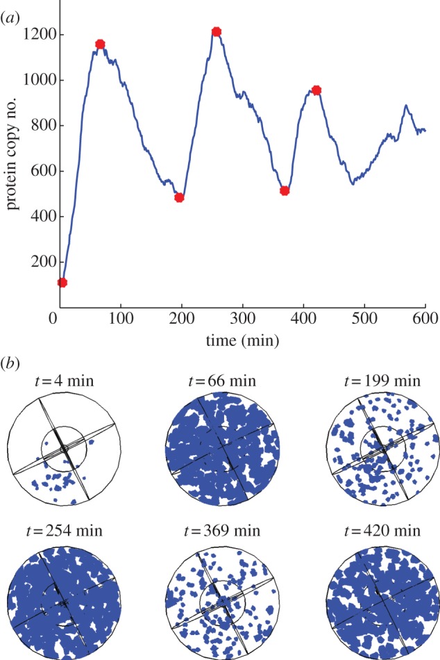 Figure 5.