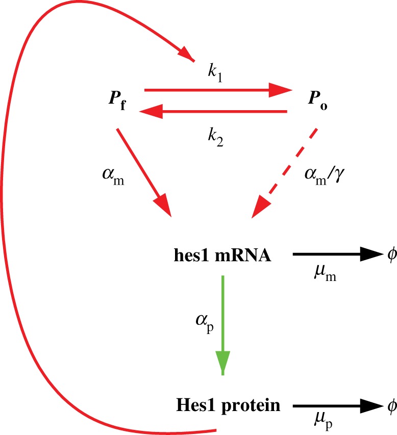 Figure 1.