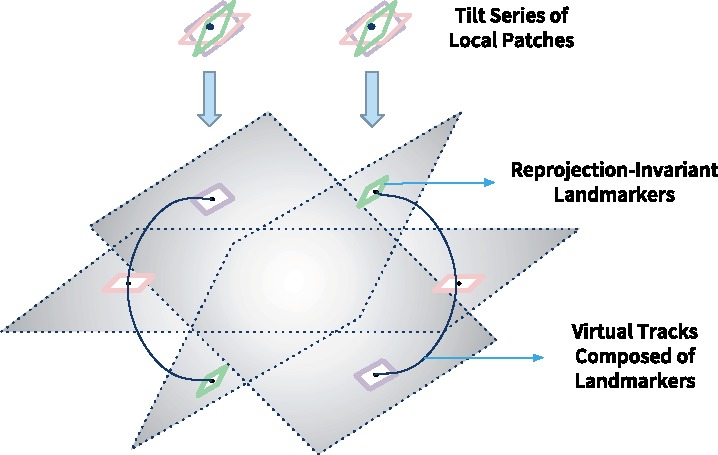 Fig. 4.