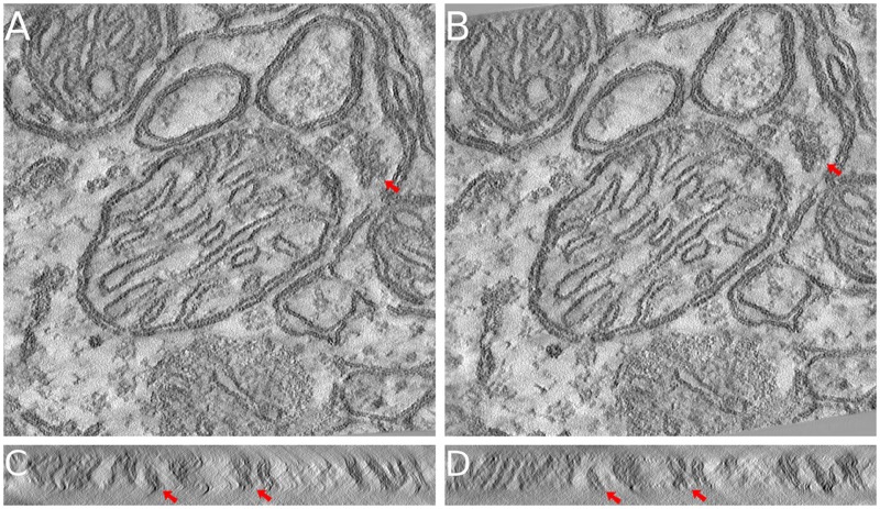 Fig. 8.