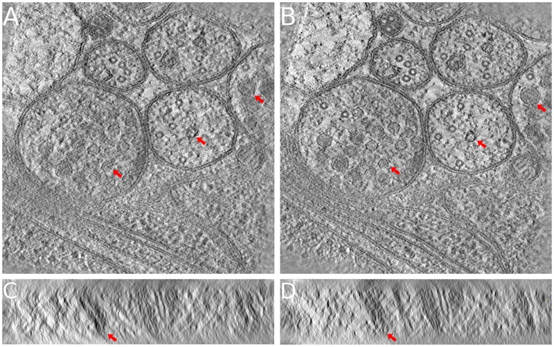 Fig. 9.