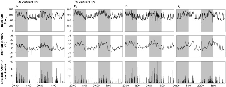 Fig. 2.