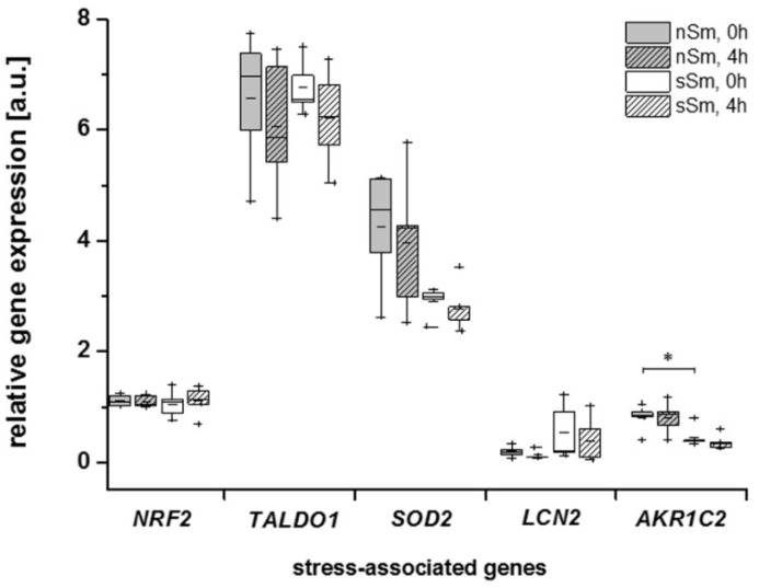 Figure 11