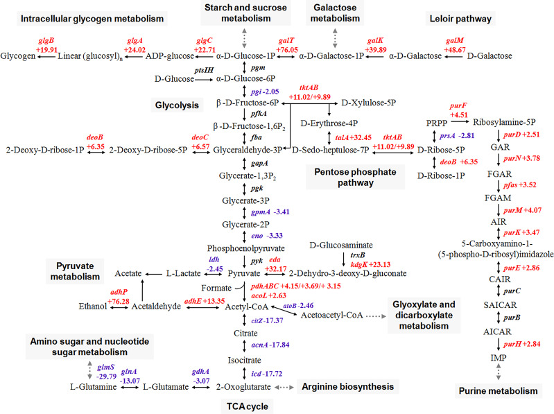 Figure 3