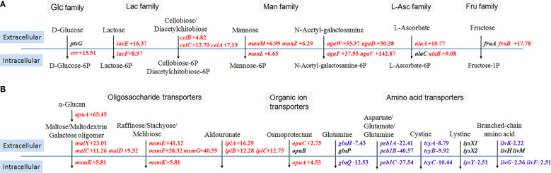 Figure 2