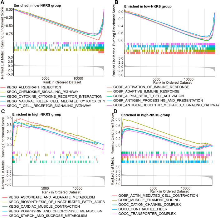 Figure 6