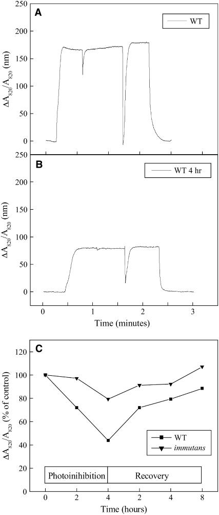 Figure 6.