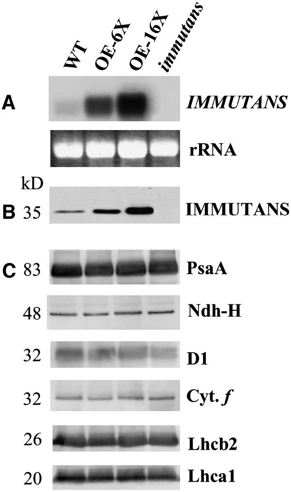 Figure 3.