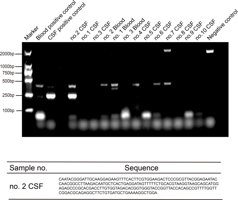 Figure 3