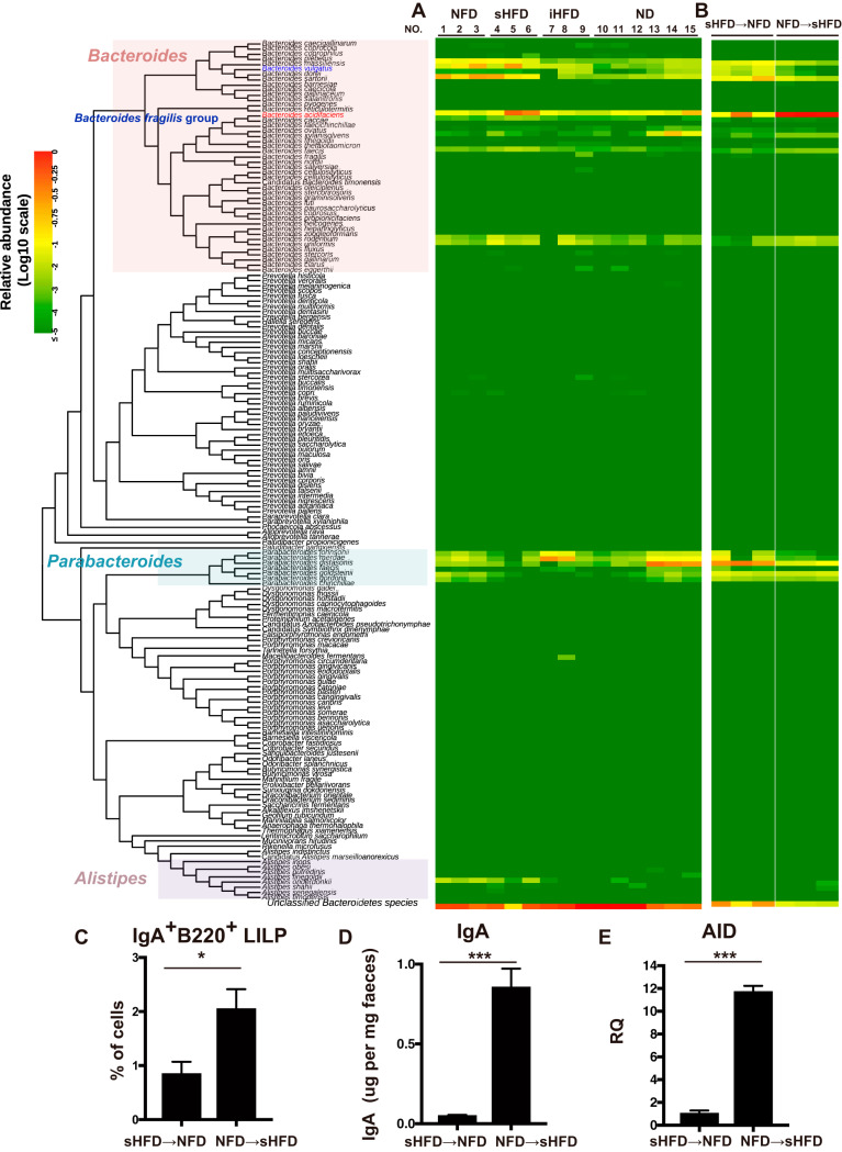 FIG 3