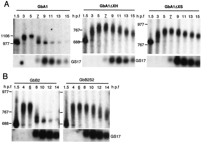 FIG. 6