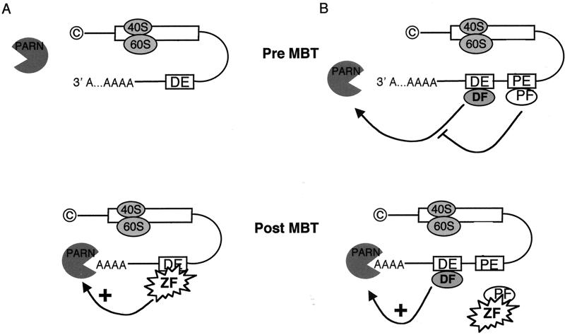 FIG. 8