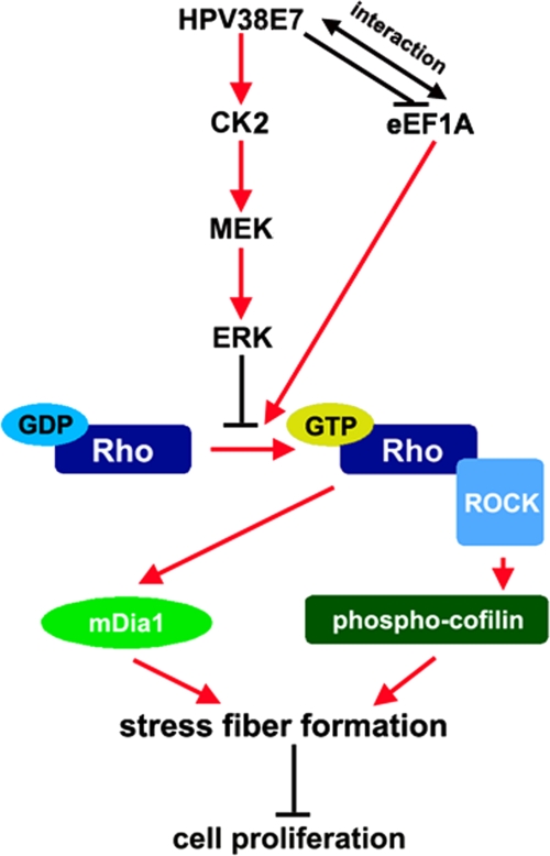 Fig. 10.