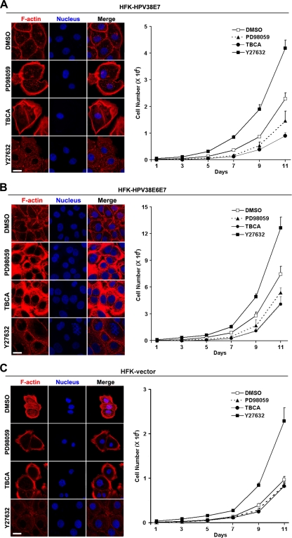 Fig. 9.