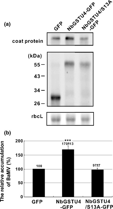 Fig. 5