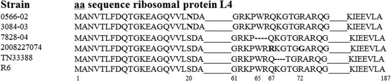 FIG 1