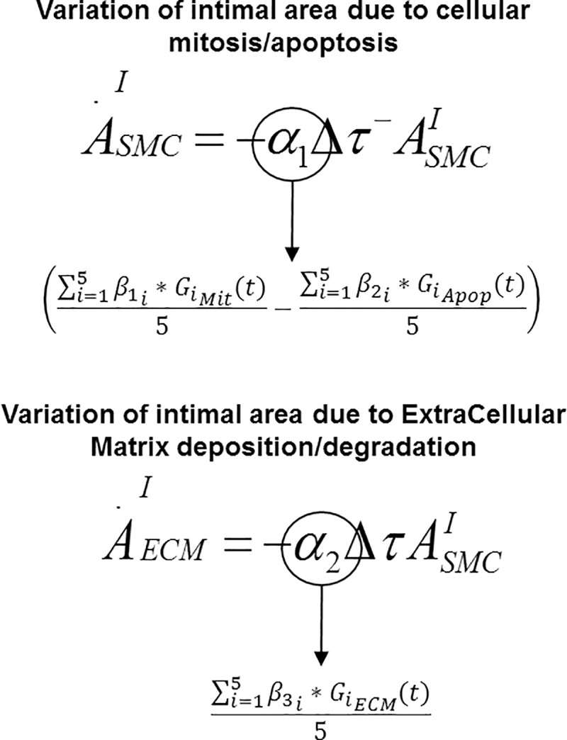 Fig 5