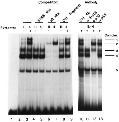 FIG. 7