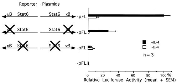 FIG. 6