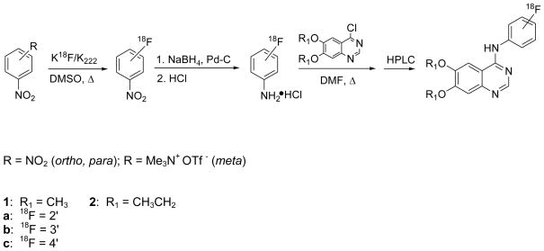 Scheme 1