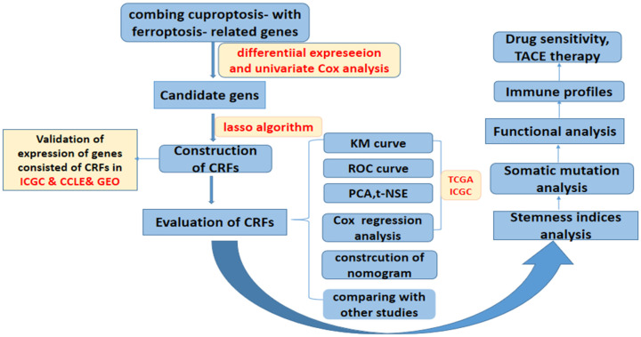 Figure 1